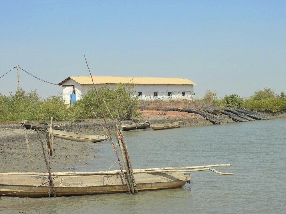 Pirang Wood