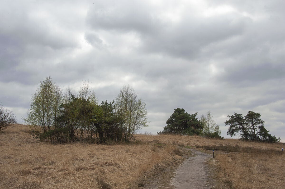 Plaggenstekerspad_012.jpg