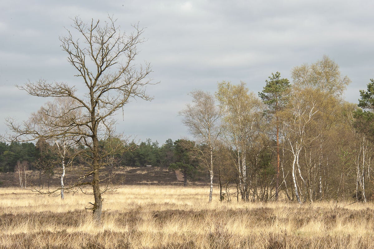 Plaggenstekerspad_031-1.jpg