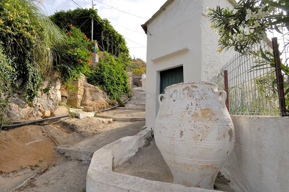 Polirinia_1038.jpg