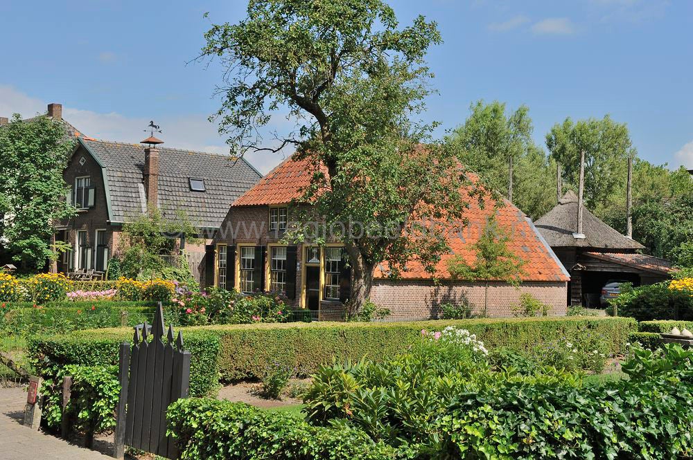 Renswoude_2015204.jpg