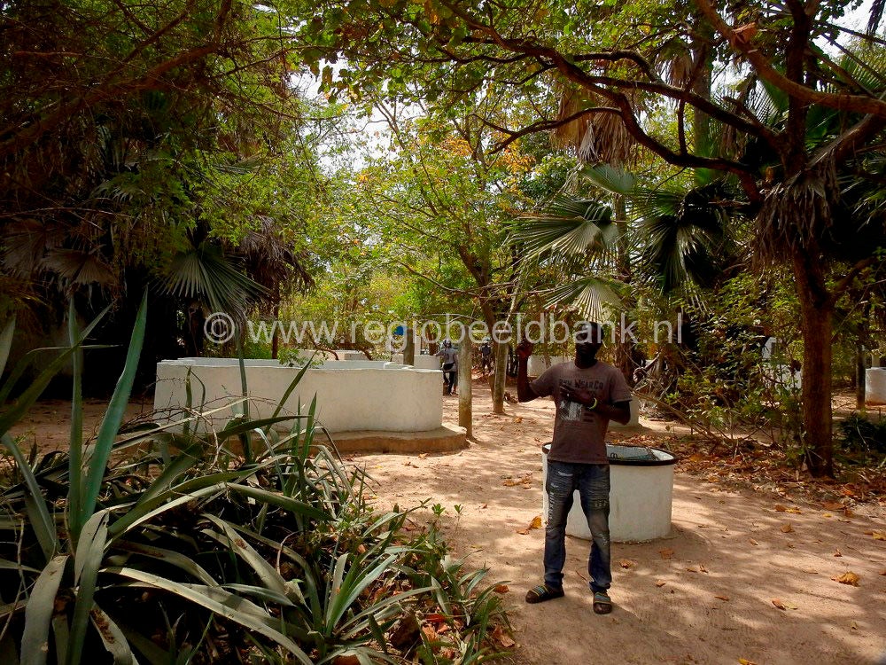 Reptile_Farm_Kartong_0908.jpg