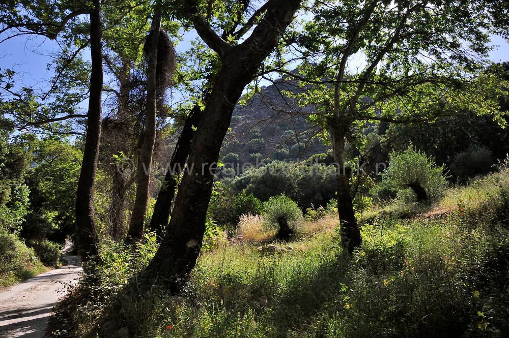 Richtis_Gorge_016.jpg
