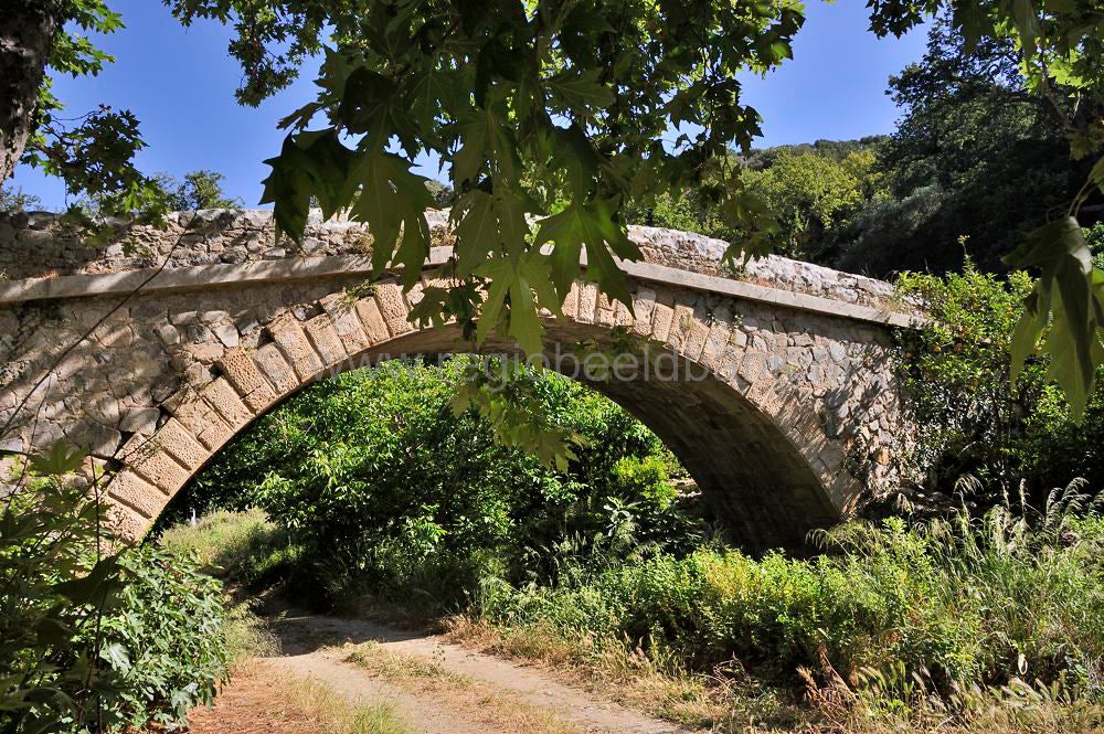 Richtis_Gorge_028.jpg