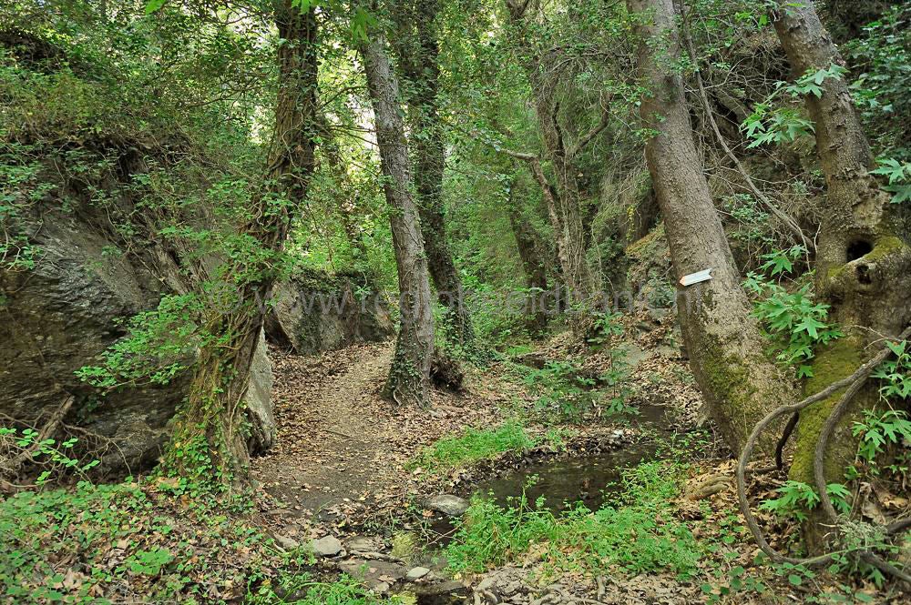 Richtis_Gorge_047.jpg