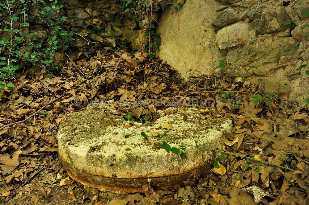 Richtis_Gorge_060.jpg