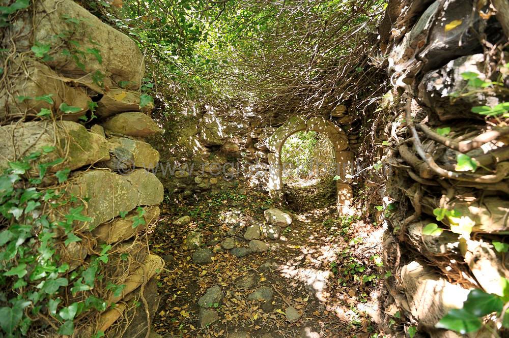 Richtis_Gorge_071.jpg