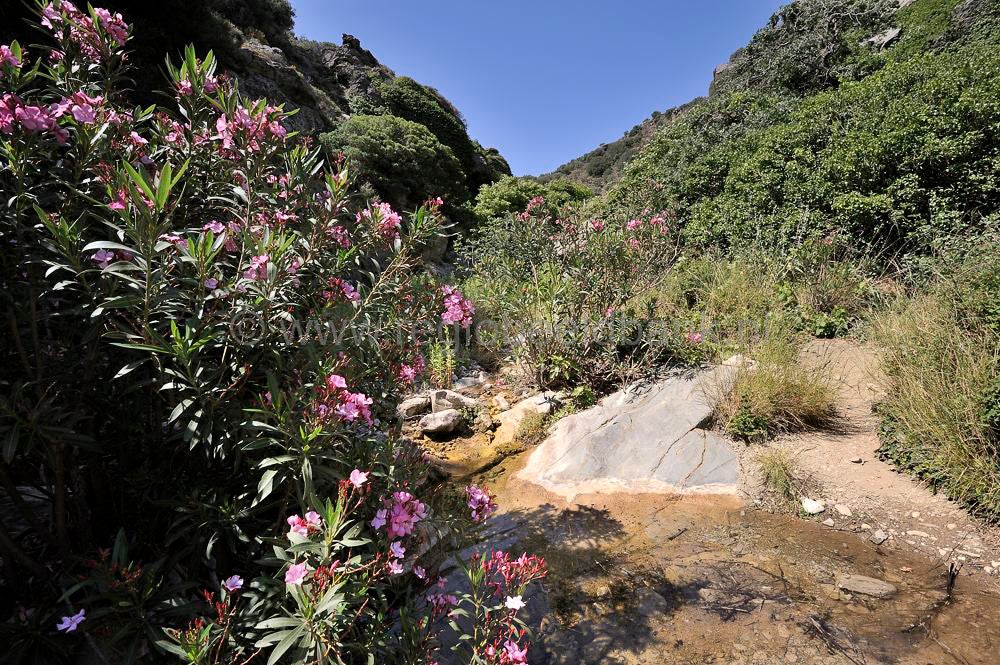 Richtis_Gorge_091.jpg