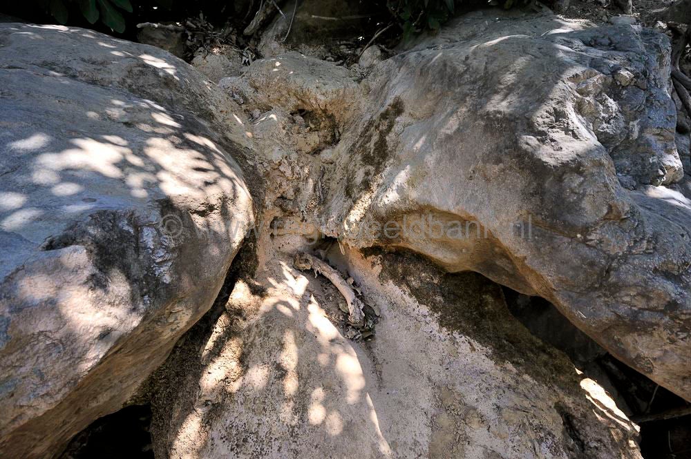 Richtis_Gorge_093.jpg