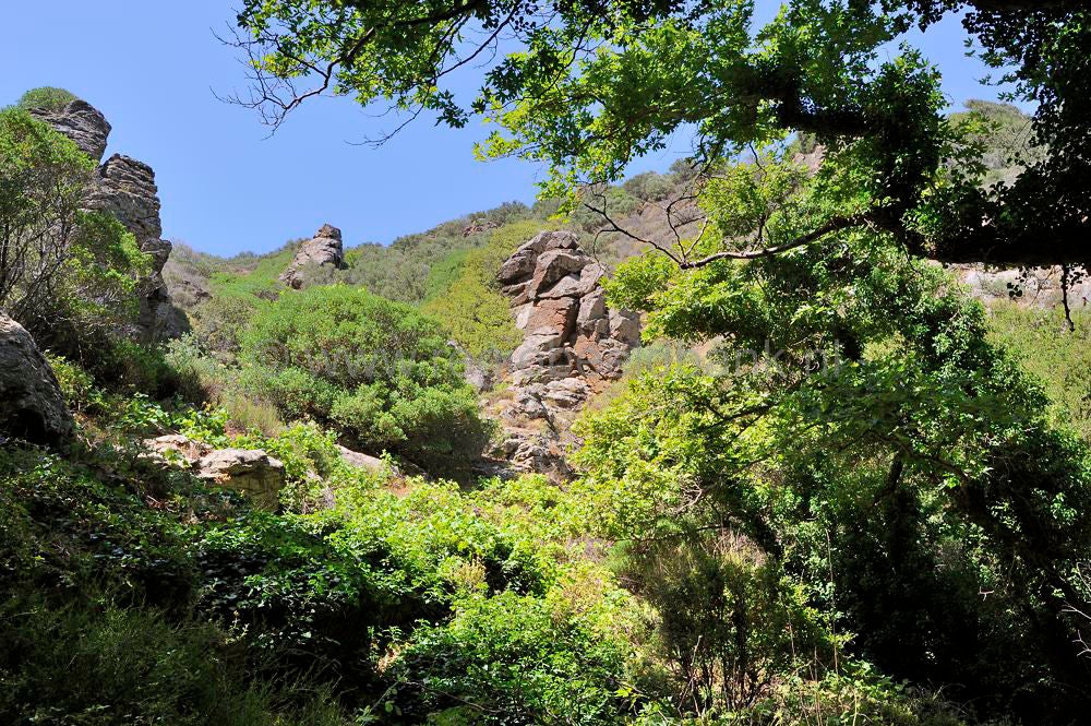Richtis_Gorge_099.jpg