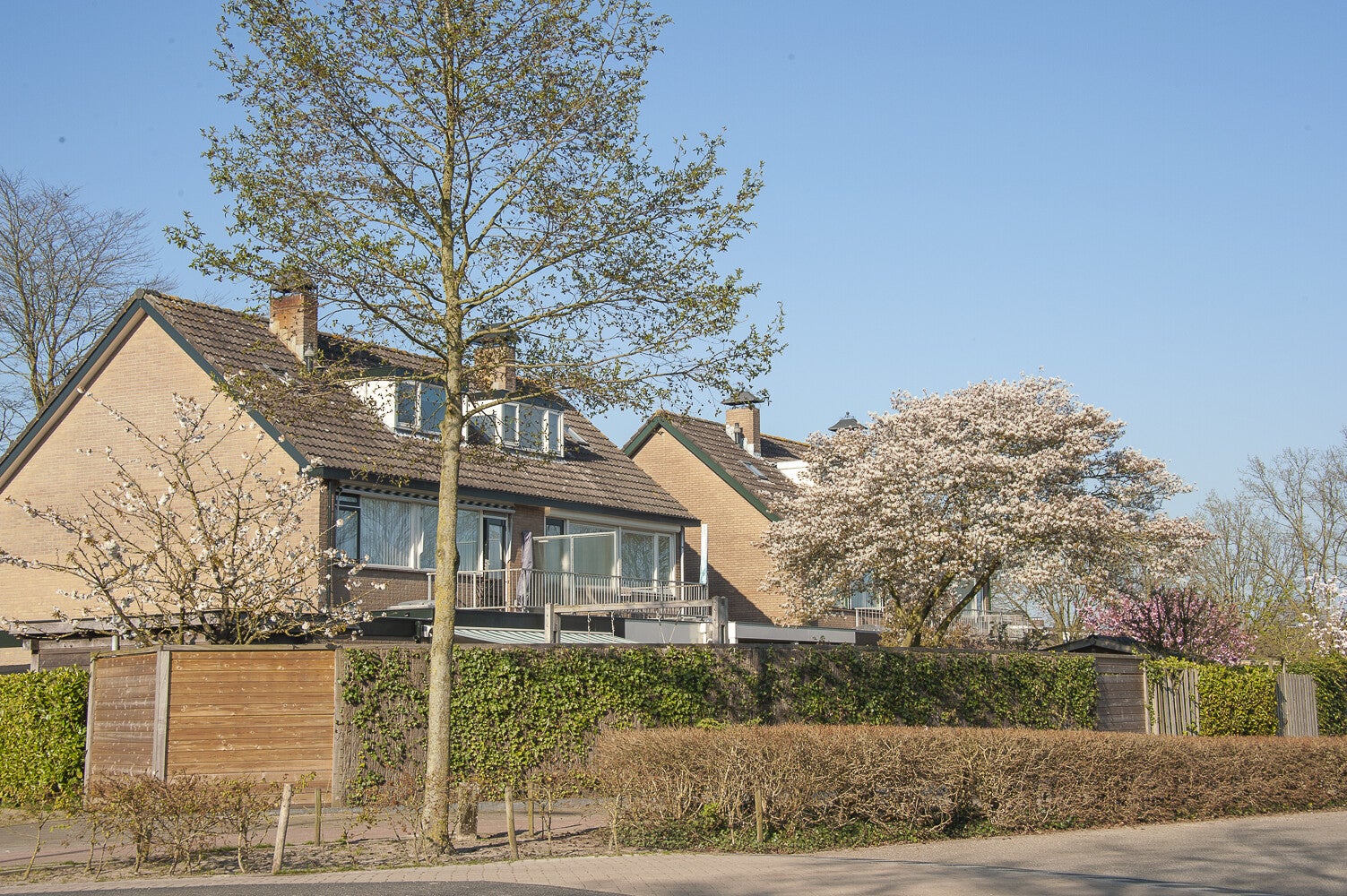 Ringbaan_202.jpg