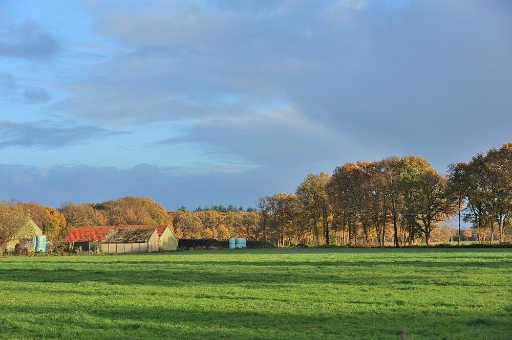 Roffelaarskade_146.jpg