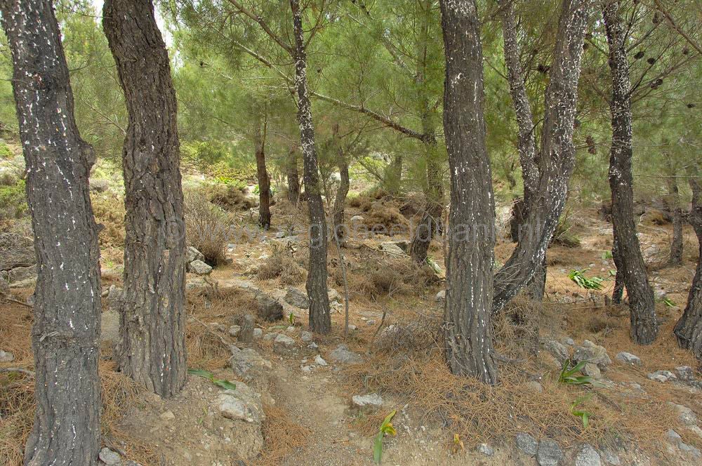 Route Zaros - Kameres - Klima