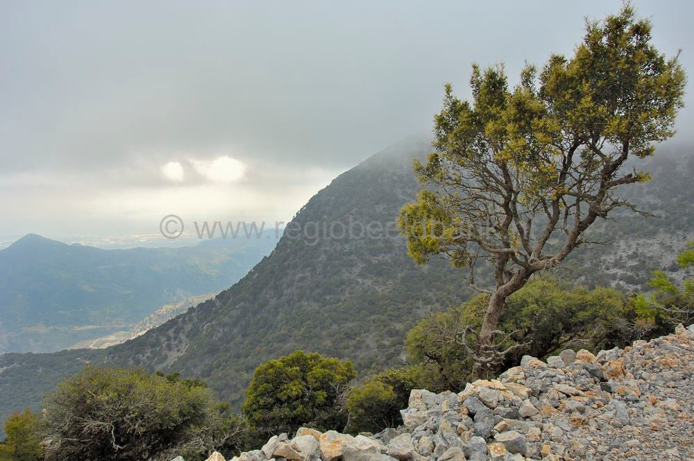 Route_Zaros_kreta_1096.jpg