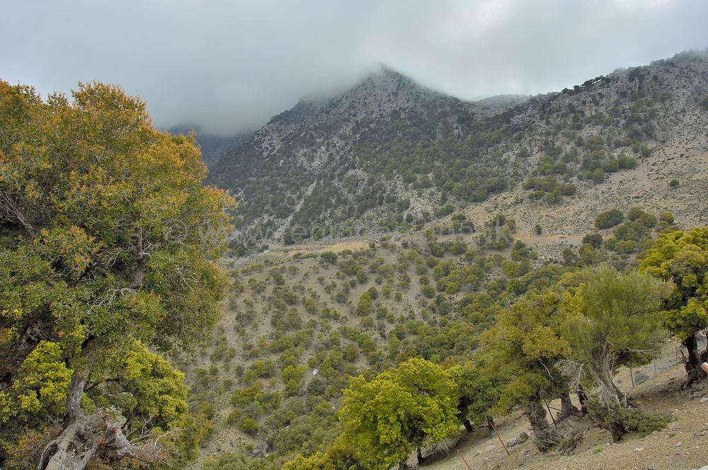 Route_Zaros_kreta_1101.jpg