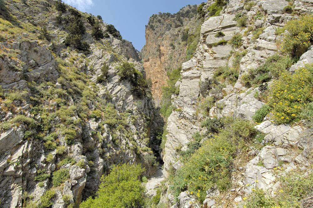 Route_Zaros_kreta_1137.jpg