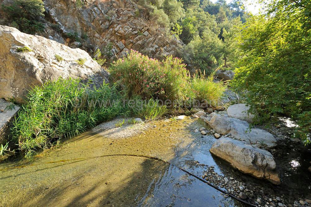 Sarakina_Gorge_026.jpg