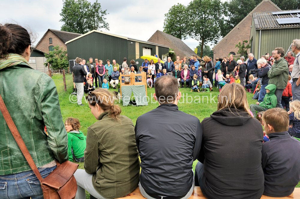 Slagmaatpad_008.jpg