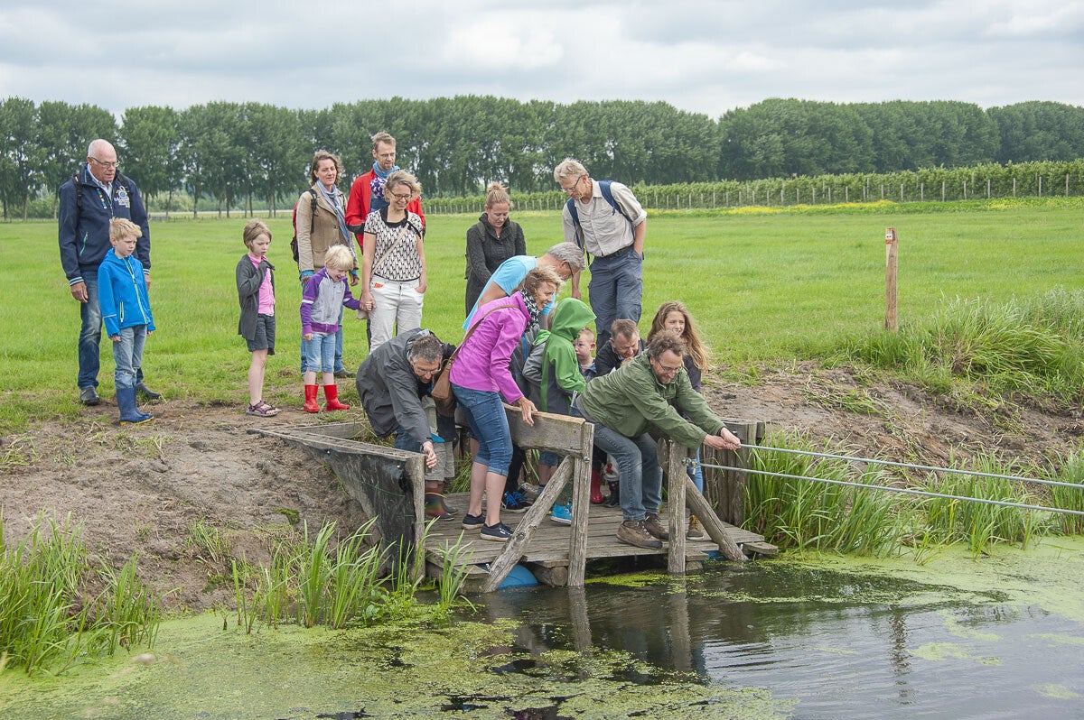 Slagmaatpad_024-2.jpg
