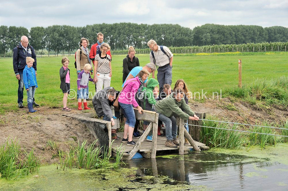 Slagmaatpad_024.jpg