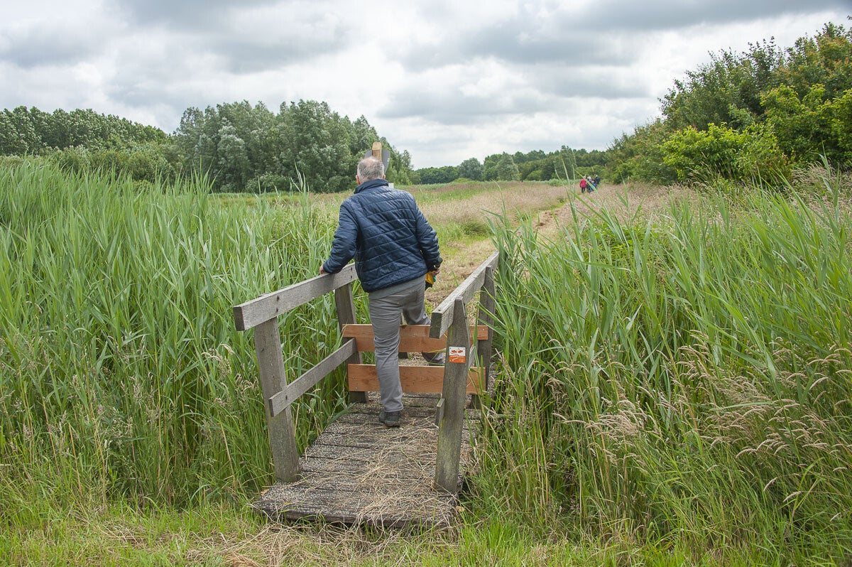 Slagmaatpad_030-2.jpg