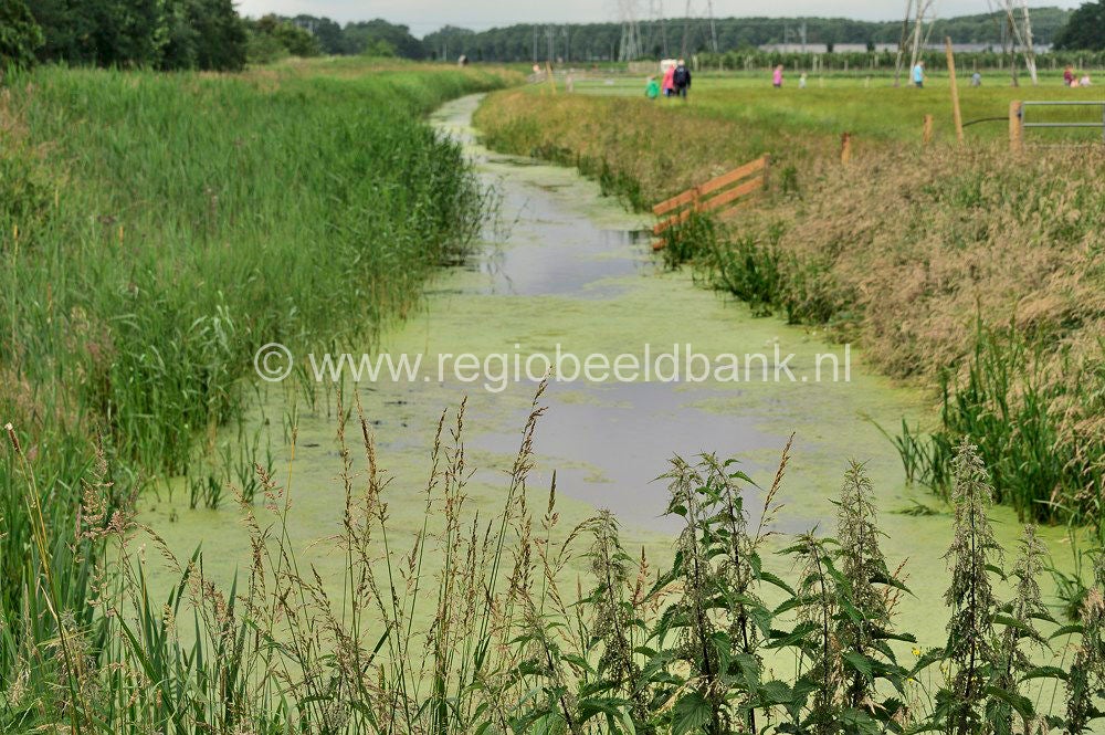 Slagmaatpad_032.jpg