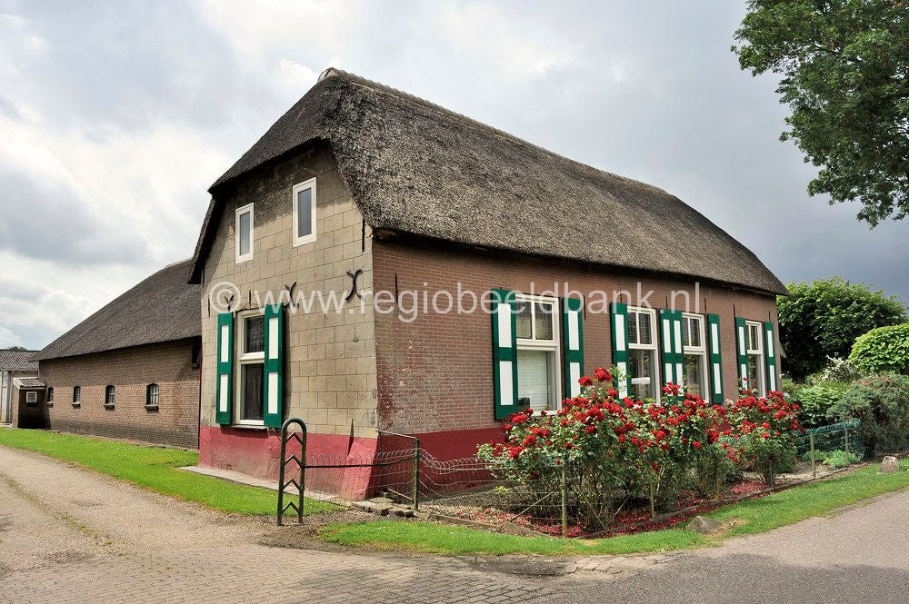 Slagmaatpad_042.jpg