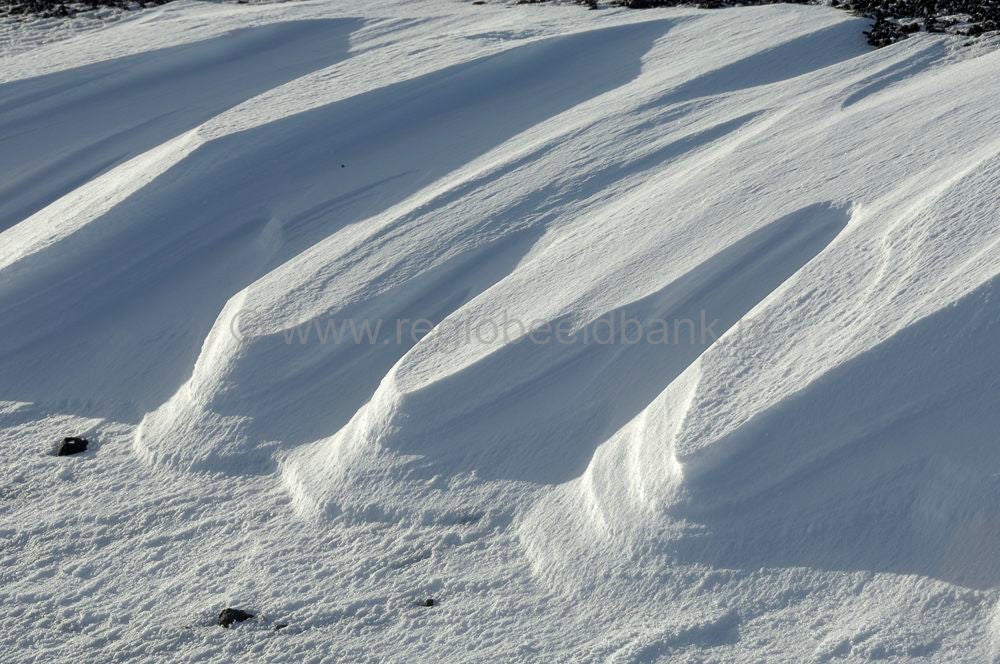 Snfellsnes_030.jpg