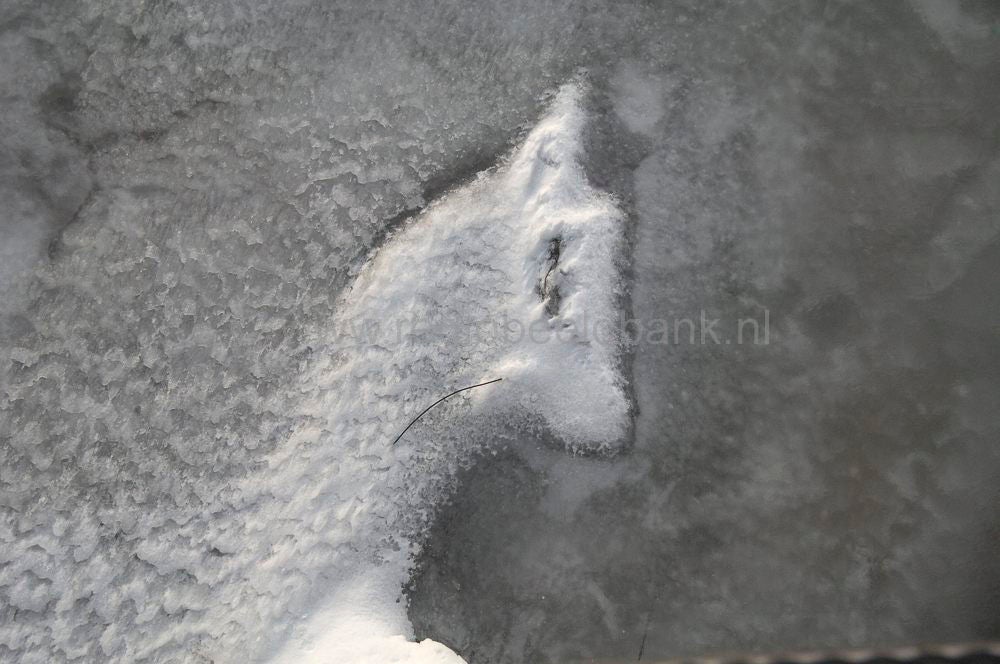 Snfellsnes_047a.jpg