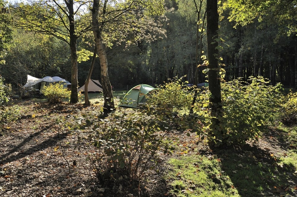 Speulderbos - Drie