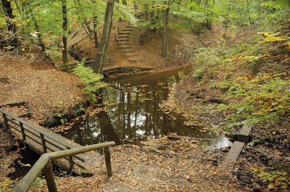 Sprengen_Laag-Soeren_046.jpg