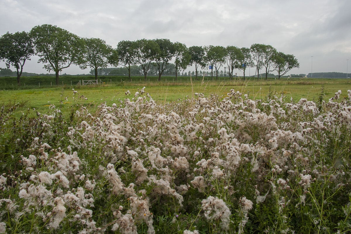 Stoetwegenpad_022.jpg