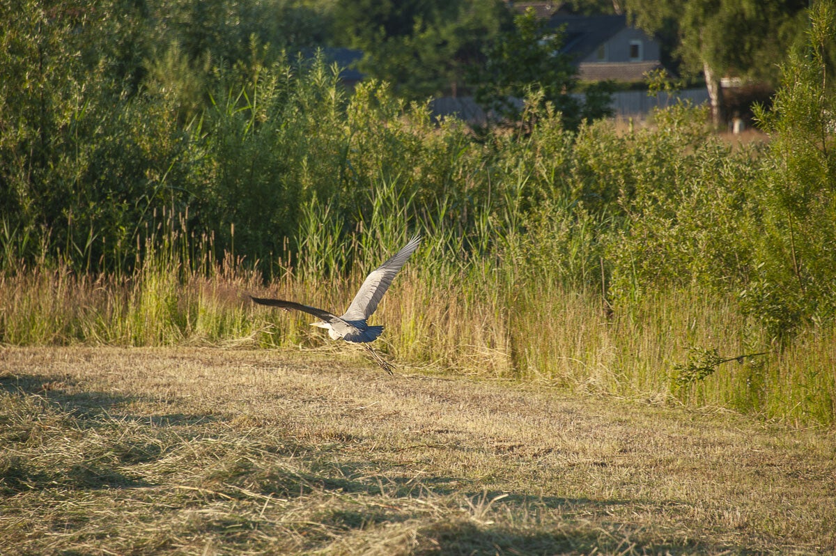 Stoutenburgerpad_030-1.jpg
