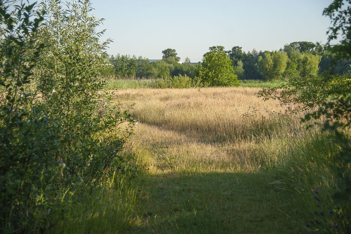 Stoutenburgerpad_040-1.jpg