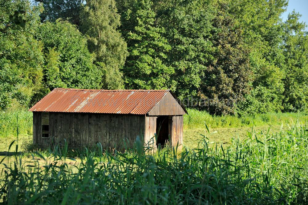 Musschendorp