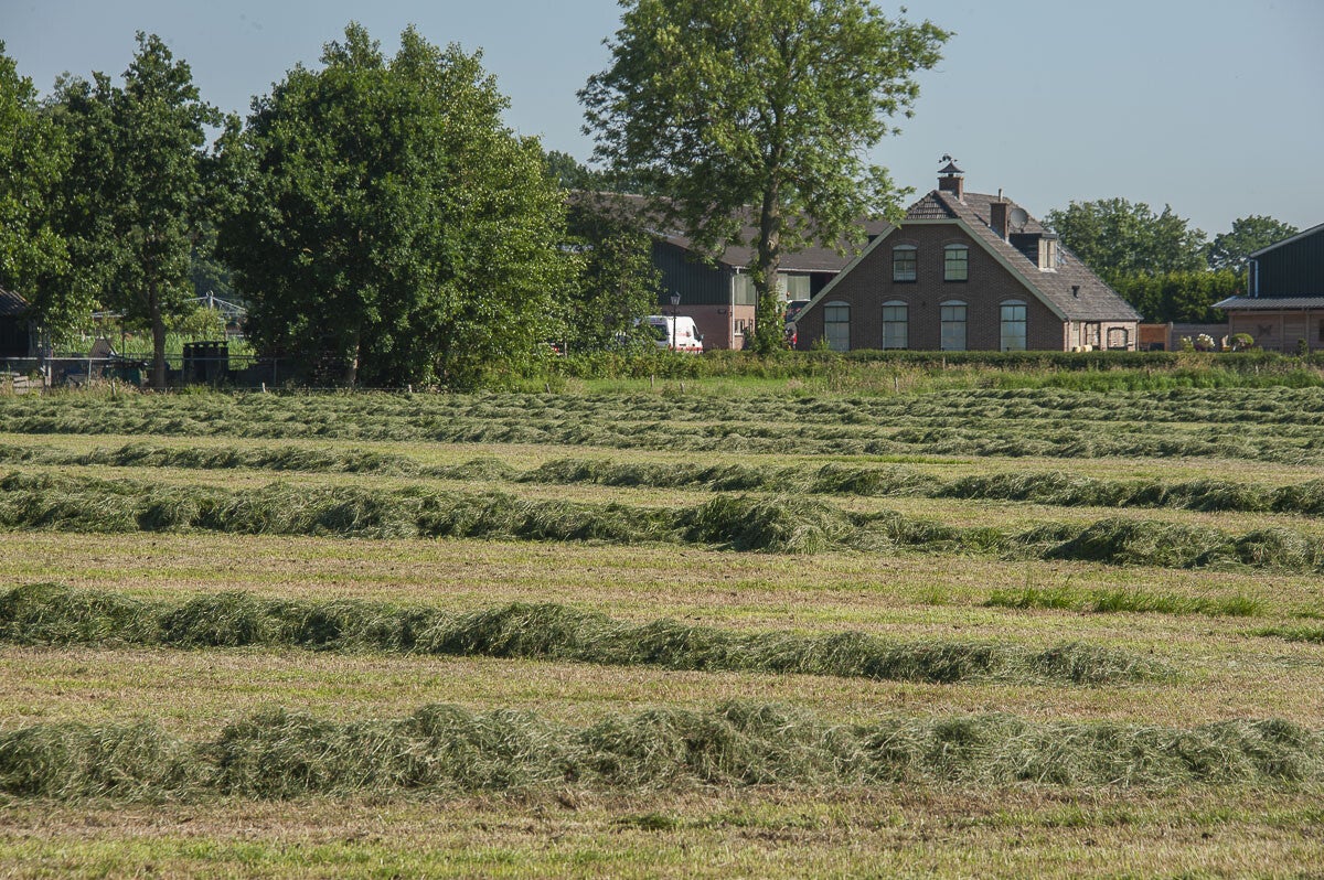 Stoutenburgerpad_089.jpg