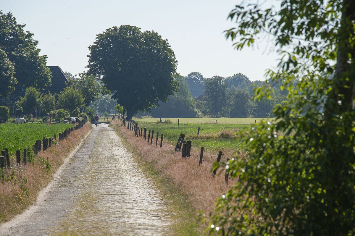 Stoutenburgerpad_096.jpg