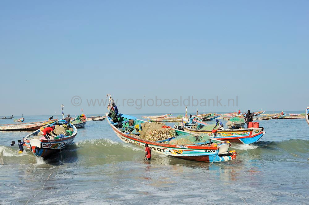 Tanji_2016_165.jpg