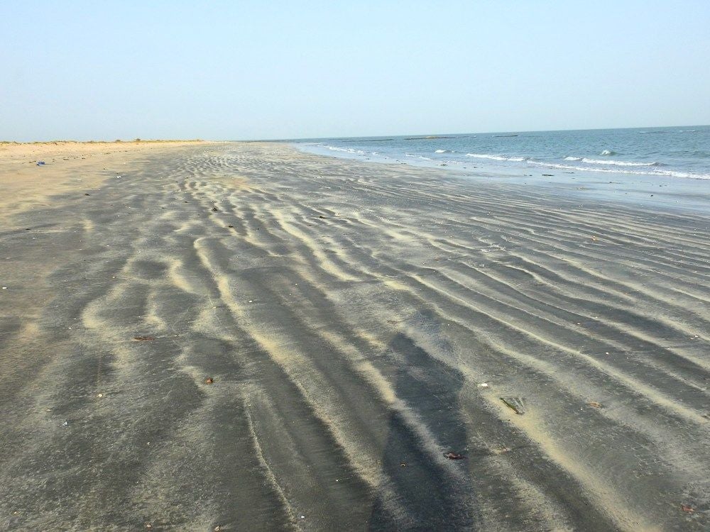 Tanji Eco Wood