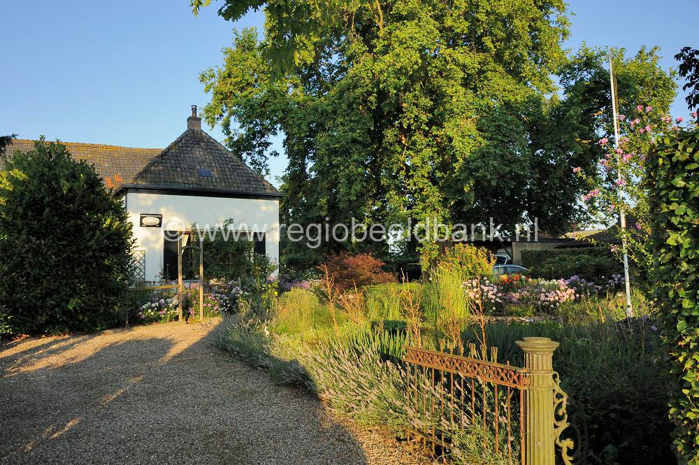 TerWolde_008.jpg
