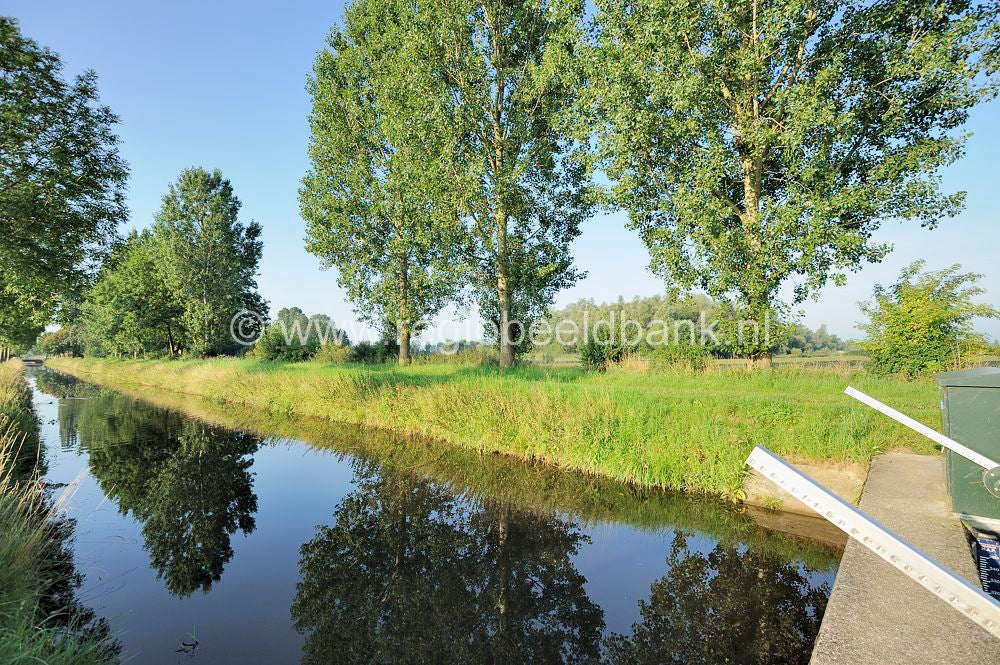 TerWolde_016.jpg