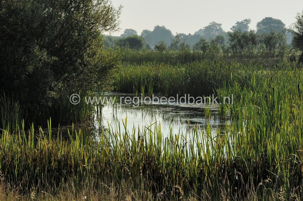 TerWolde_018.jpg