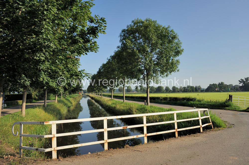 TerWolde_020.jpg