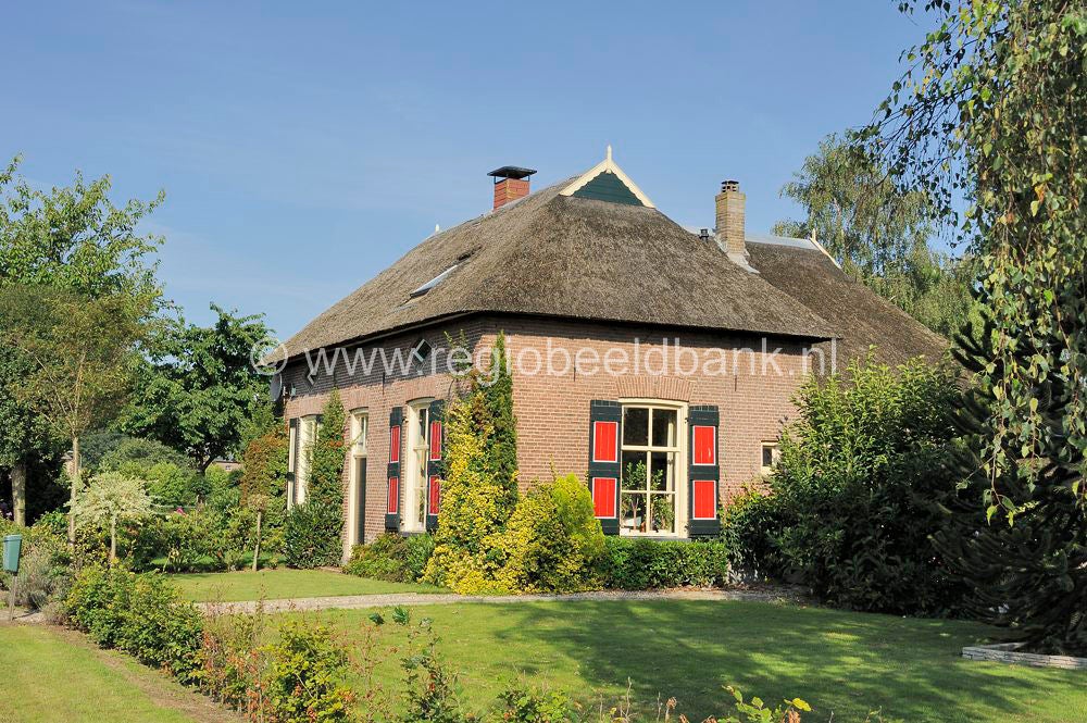 TerWolde_027.jpg