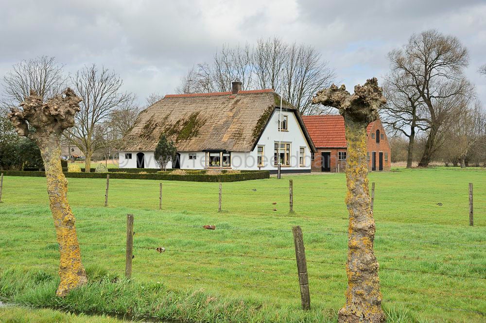 Zwartebroek
