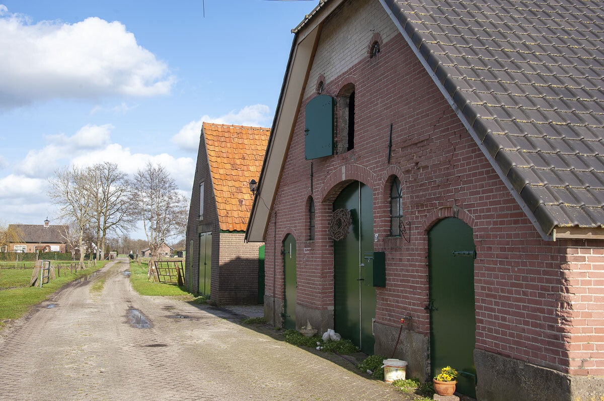 Terbroeksepad_076.jpg