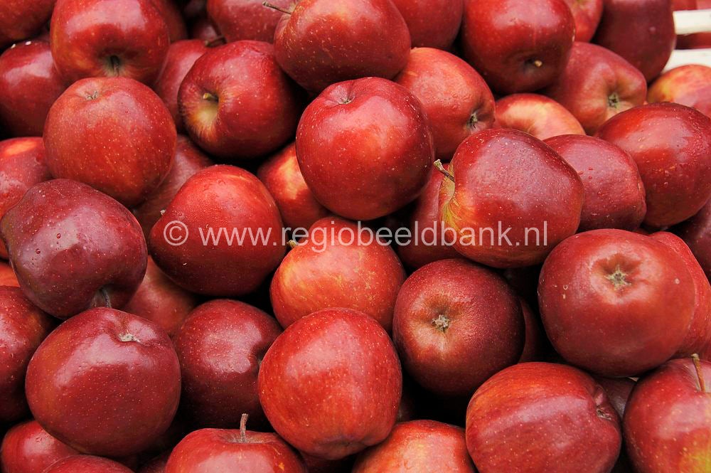 Timbaki_market_2011001.jpg