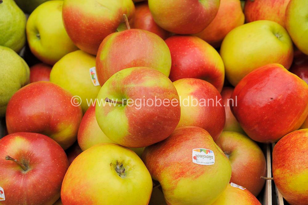 Timbaki_market_2011003.jpg