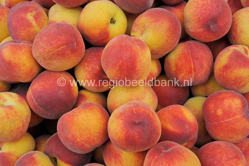 Timbaki_market_2011009.jpg