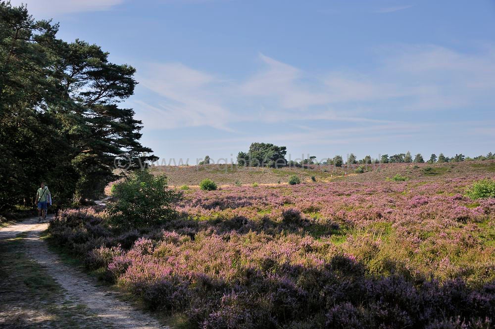 Tonnenberg Heerde